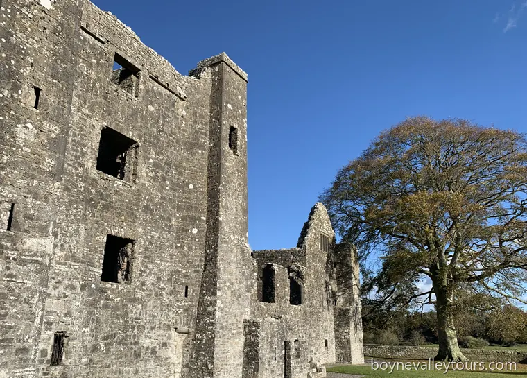 Stone ruins of Bective Abbey under a clear blue sky, with an autumn tree beside a green lawn.