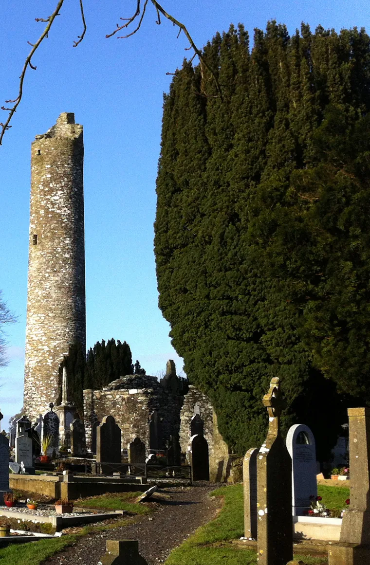 Tall Irish yew beside the round tower, church ruins and Celtic crosses at Monasterboice.