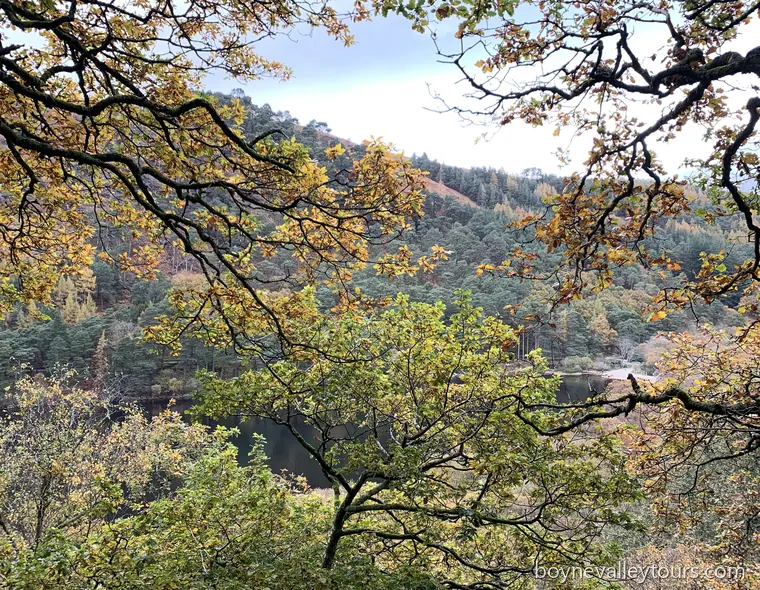 Autumnal wooded valley in County Wicklow, framed by tree branches under a soft blue sky.